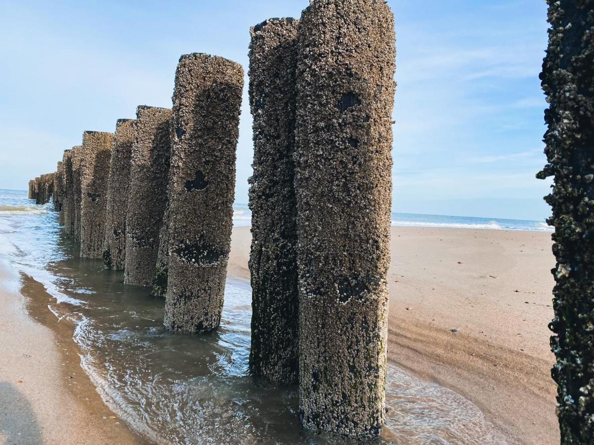 Vakantiehuis Domburg Do33 ภายนอก รูปภาพ